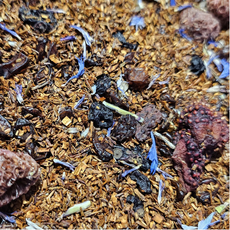 Ройбуш ягідний 250г