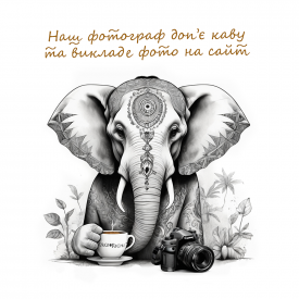 Aroma Blend (Арома Бленд) Кофе молотый (250г) 